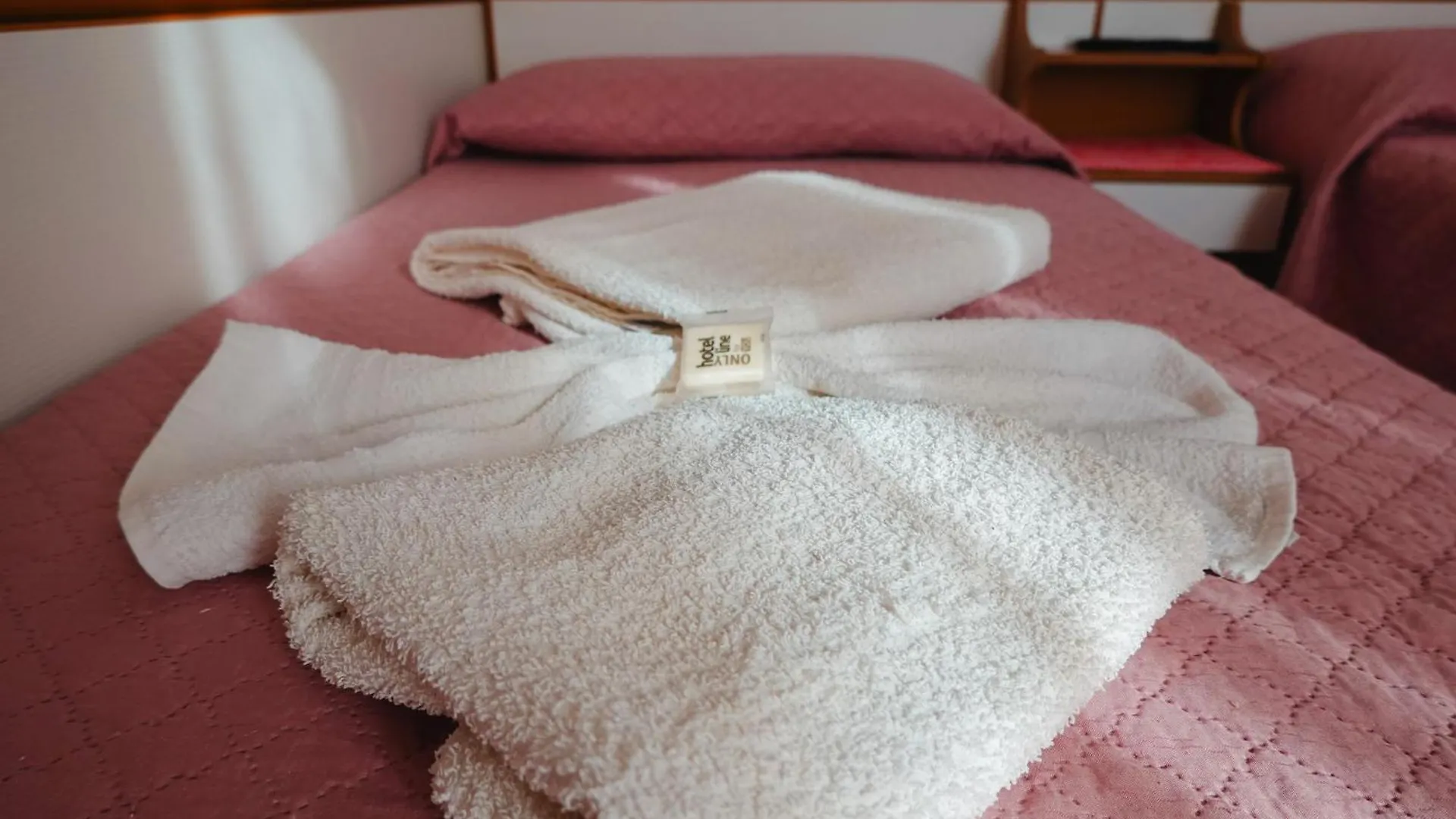 Hotel Lea B&B Pensione Completa Rimini Italy