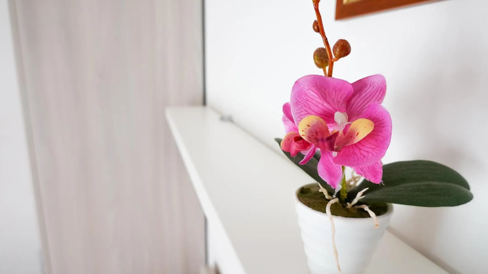 Hotel Lea B&B Pensione Completa Rimini