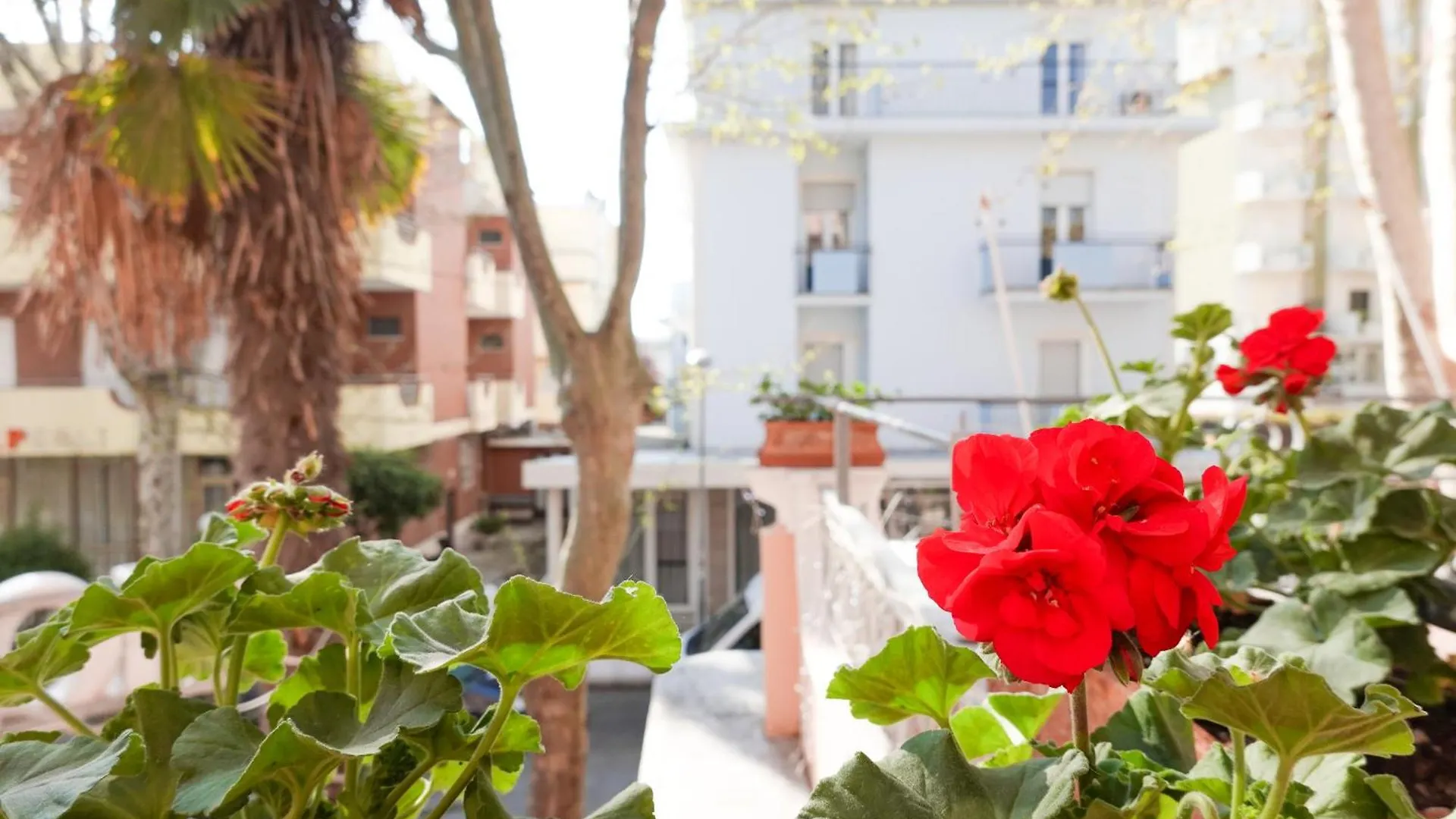 Hotel Lea B&B Pensione Completa Rimini